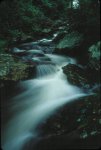 Waterfall Photograph